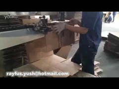 DXJ-S Double-servo Pedal Stitcher